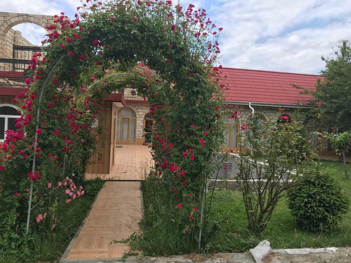 Sheki Apartments 外观 照片